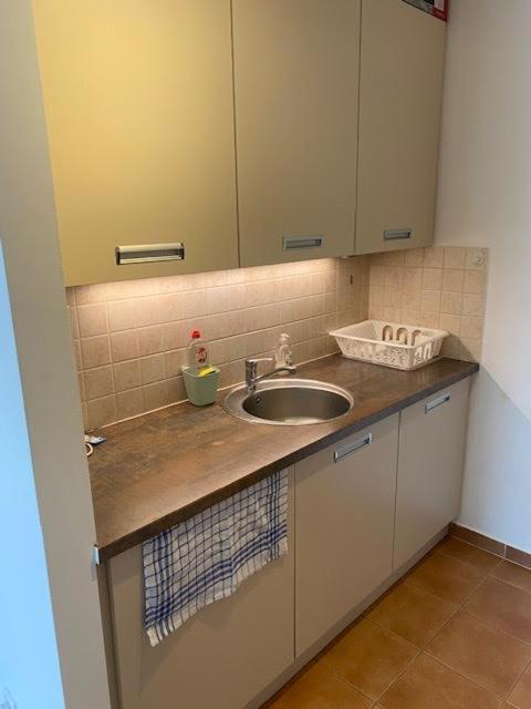 Roland Apartment Downtown - Garay 布达佩斯 外观 照片